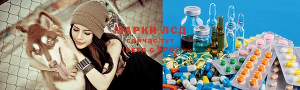 apvp Армянск