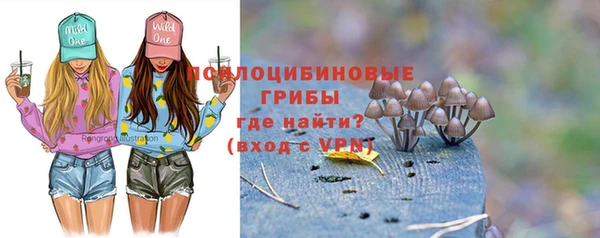 винт Аркадак