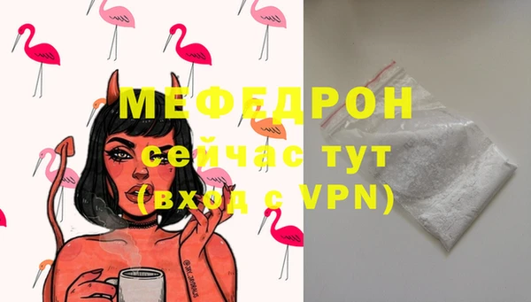 индика Тобольск