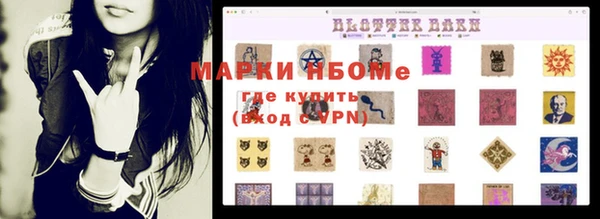 молекула духа Арсеньев