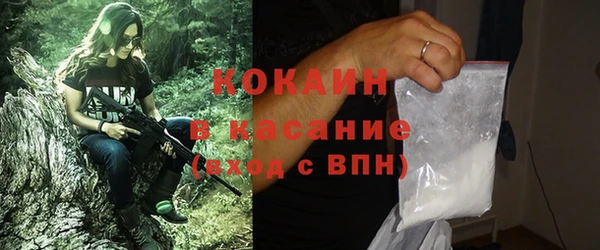 молекула духа Арсеньев