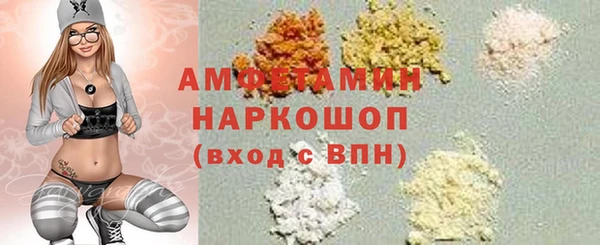 молекула духа Арсеньев