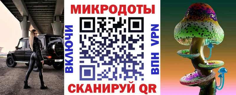 Галлюциногенные грибы Psilocybe  Динская 